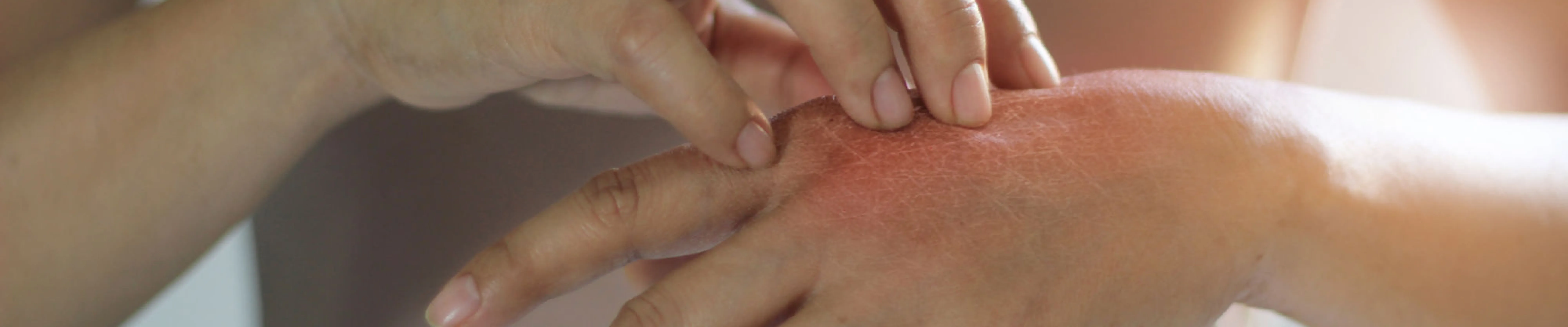 carpet cleaning in new york, carpet cleaning new york, carpet cleaners in new york, carpet cleaners in new york, commercial carpet cleaning, commercial carpet cleaning in new york, new york rug cleaners, rug cleaning services in new york, same day carpet cleaning, same day rug cleaning in new york